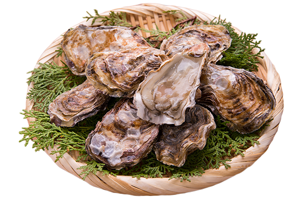 兵庫県室津産室津OYSTER