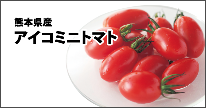 熊本県産アイコミニトマト