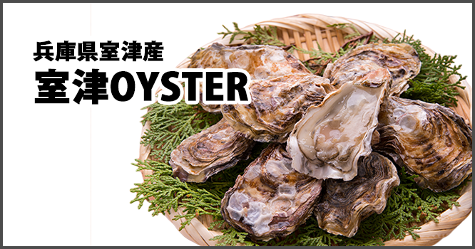 兵庫県室津産室津OYSTER