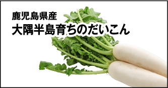 大隅半島育ちのだいこん