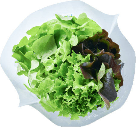 サラダを楽しむ3種のミックスレタス