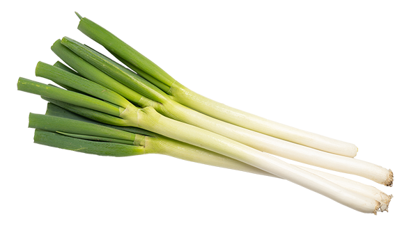 鳥取県産白ねぎ